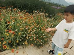 -君乐宝优致牧场