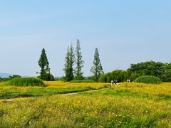 -良渚古城遗址公园