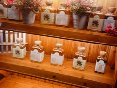 零售区-布拉格餐厅· 中欧捷克菜(全国首店)