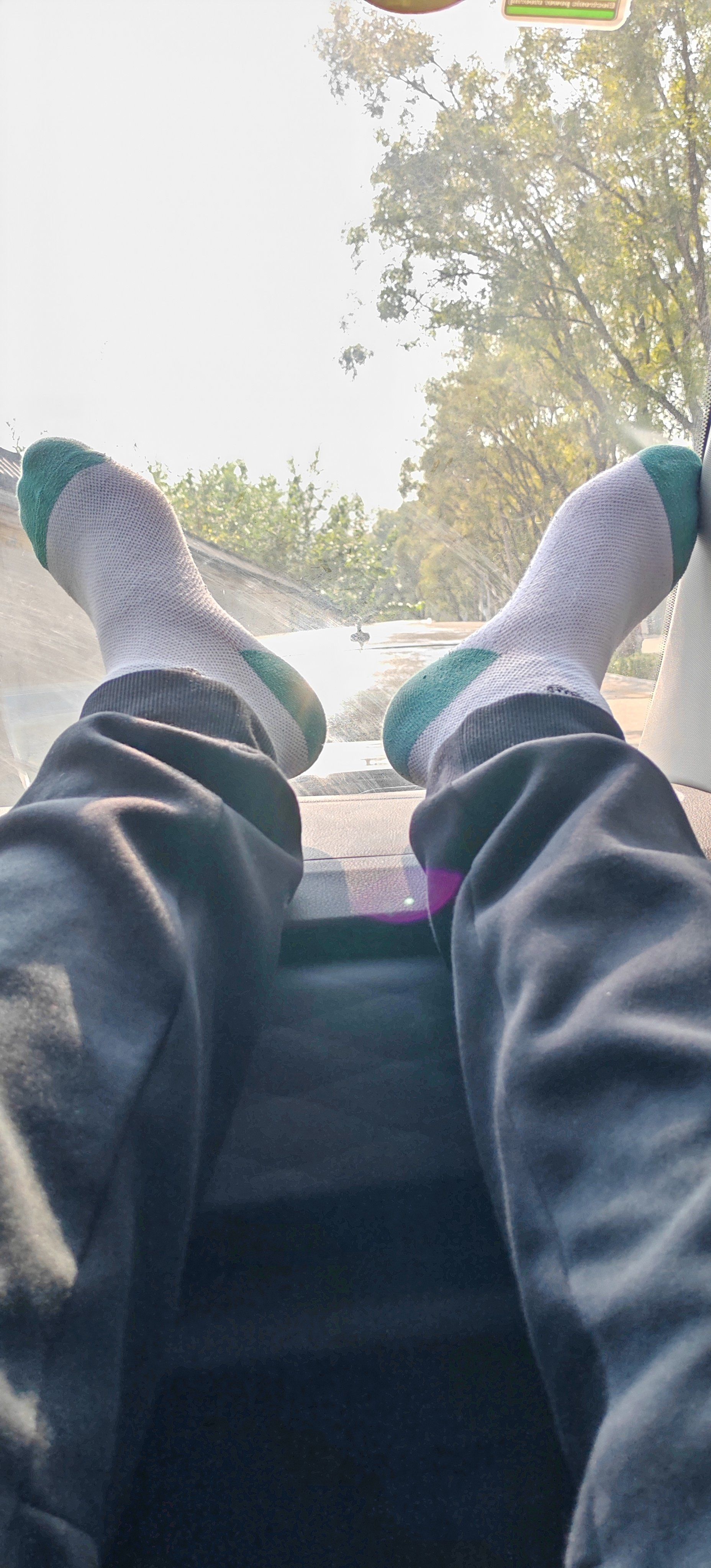 室内白袜悠闲时