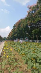 -玄武湖景区-情侣园游乐场