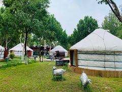 -九十九顶毡房(阜石路店)