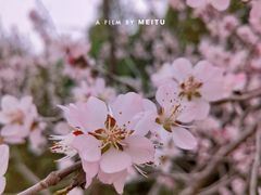 -南海子公园