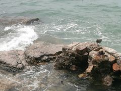 -海驴岛(荣成市)
