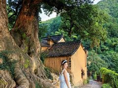 -杨家堂村