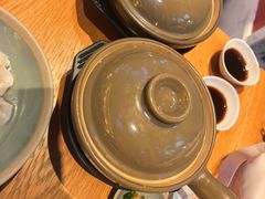 -美食小镇·观赏珍稀鸟类·长隆熊猫酒店
