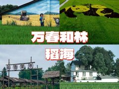 -老鼎万春卤菜(五代传承创始老店)
