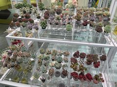 -KKV(常州新北万达广场店)