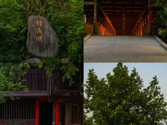 -福建鲤鱼洲酒店