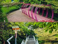 -佛山华盖山公园