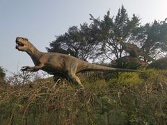 -自贡恐龙博物馆