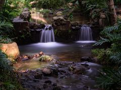 -深圳仙湖植物园-停车场