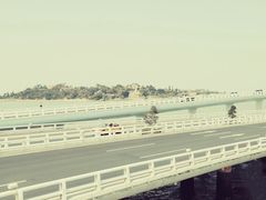 -演武大桥观景平台