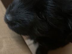 -贝康宠物医院·犬猫全科·小动物特色诊疗中心(东环路店)