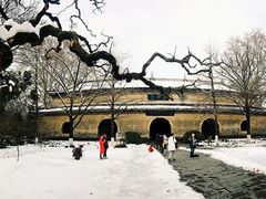 -灵谷景区