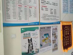 -爱贝特动物医院·猫口炎专科