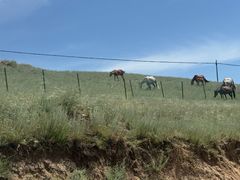 -兵团人家农家乐