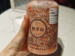 -野萃山·潮汕厚果汁(十亩地店)