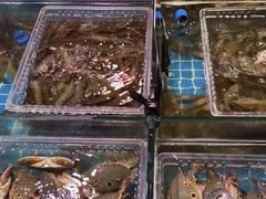 -领鲜活海鲜榴莲自助火锅(东门店)