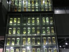 -广东中医药博物馆