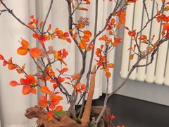 -香丰阁·烤鸭·川湘菜(清河店)