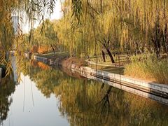 -元大都城垣遗址公园