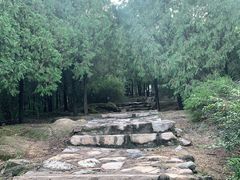 -阳台山自然风景区