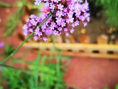 -北京园博大酒店