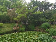 -上海醉白池公园