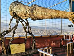 -中央广播电视塔