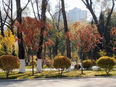 -西宁市人民公园(城西区)