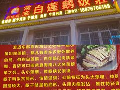 -常来老白莲鹅饭店(老城店)