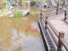 -耕渔小院·湖南鱼鲜(望城店)