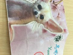 -昆明动物园