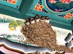 门面-柳沟豆腐宴69号福豆堂
