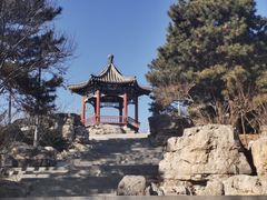 -大兴滨河森林公园