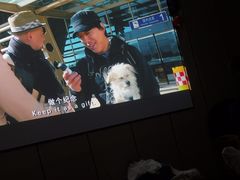 -君之悦·影院式足道·养生SPA(回兴店)