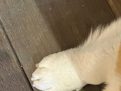 -肥朵食堂(带梦胡同店)