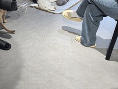 -琪喵猫屋·撸猫猫咖·猫舍