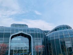 -大塘金香草谷