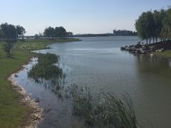 -武清南湖绿博园