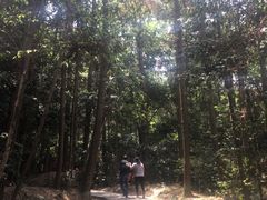 -窦圌山风景区