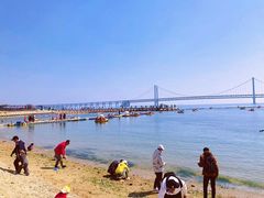-星海湾跨海大桥