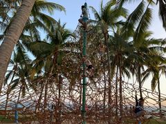 -三亚亚龙湾天域度假酒店