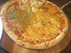 -百好乐宠物友好餐厅(朝外大街店)