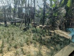 -武汉动物园