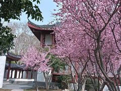 -堤角公园