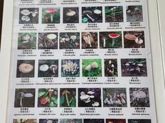 -中国中医科学院西苑医院(本部)