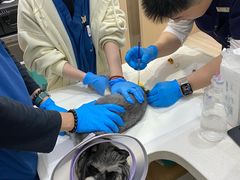 -申普宠物医院·眼科·心内科·影像科(普陀分院)