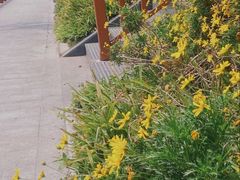 -剪刀石头布家居广场